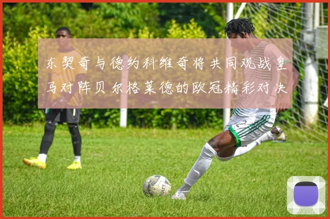 东契奇与德约科维奇将共同观战皇马对阵贝尔格莱德的欧冠精彩对决